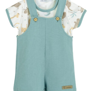 Conjunto Peto Java