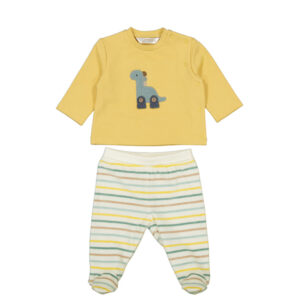 Conjunto polaina