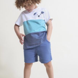 Conjunto 264003